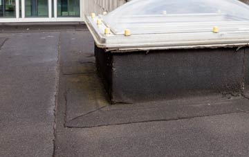 disadvantages of Lea Forge flat roofs