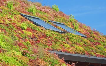 Lea Forge living roof systems
