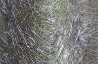 Lea Forge fibreglass roof work